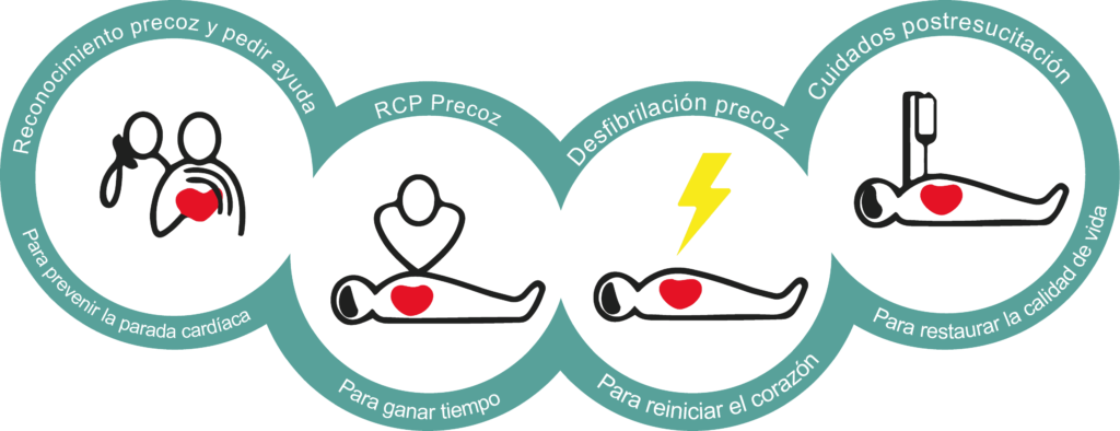 Soporte Vital Básico 【 La Guía Definitiva 】 Qué Es Y Cómo Aplicarlo 